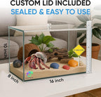 EctoTherm Hermit Crab Tank - 5 Gallon Tank with Lid - Complete Hermit Crab Cage for Large & Small Crabs - Glass Tank