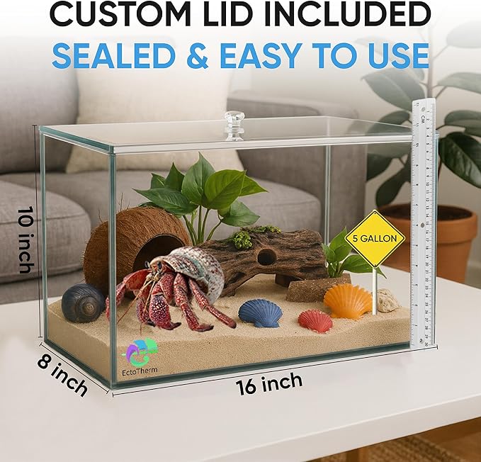 EctoTherm Hermit Crab Tank - 5 Gallon Tank with Lid - Complete Hermit Crab Cage for Large & Small Crabs - Glass Tank