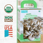 Back to the Roots Organic Mini Mushroom Grow Kit, Harvest Gourmet Oyster Mushrooms In 10 days, Top Gardening Gift, Holiday Gift, & Unique Gift