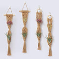 4 Pack Air Plants Holders, Wall Planters for Indoor Plants | Macrame Plant Hanger, Air Plant Hanger for Air Fern, Tillandsias, Live Houseplants & Succulent (NO Plant Included)