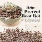 Bonsai Jack Succulent, Cactus and Bonsai Soil - Jacks Gritty Mix - 2 Quarts – Fast Draining – Fight Root Rot – Optimized pH