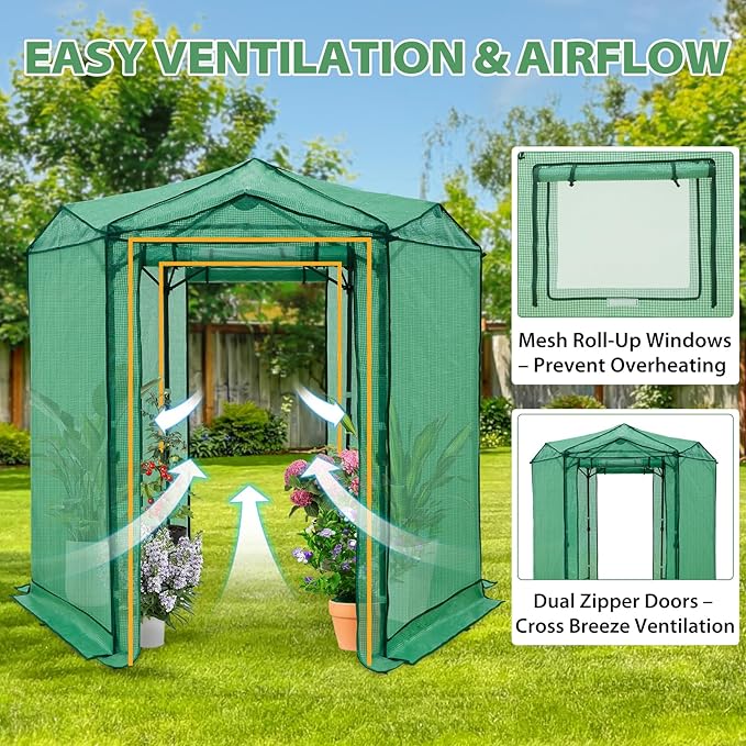 EAGLE PEAK 6.6x6.6 Portable Walk in Greenhouse, Pop Up Indoor Outdoor Greenhouse, Green House Kit with Zippered Roll-Up Doors and Windows, Hexagon Design, PE Cover, Clear/Green