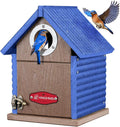 Kingsyard Recycled Plastic Bird House for Outdoors - Weatherproof Nesting Box with Clear View Panel & Predator Guard for Bluebird Wren Swallow Finch, Blue
