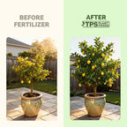 Lemon Tree Fertilizer – Liquid Plant Food for More Fruit, Better Flowering & Stronger Root Development, 8 oz