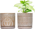 6 Inch Indoor Plant Pots with Drainage Holes and Saucers, Ceramic Planter for Plants, Flower Pot - Set of 2