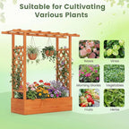 BECOMFORT Raised Garden Bed with Trellis & Hanging Roof, 45" Tall Fir Wood Planter Box with Drainage Holes, Outdoor Elevated Garden Planter for Climbing Vines, Perfect for Patio, Lawn & Backyard