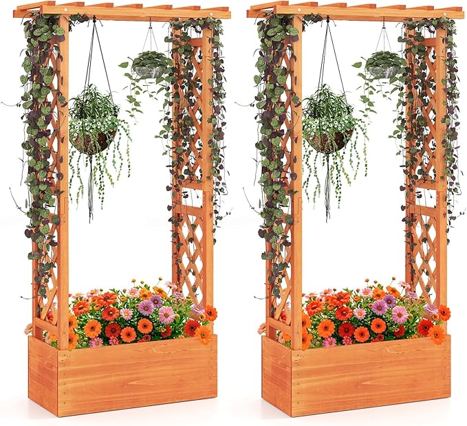 MAT EXPERT Raised Garden Bed with Trellis & Hanging Roof, Lattice Panel with Drainage Hole for Flower, Climbing Plant, Herb, Planter Box for Garden, Patio, Yard (2, 31" L x 14" W x 60" H)