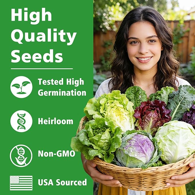 Lettuce Seeds, 10 Varieties Individual Packs, 60000+ Non-GMO Heirloom Vegetable Seeds for Planting Indoor Outdoor for Fresh Salad, Easy to Grow for Garden Beginners, Gifts for Women Men Plant Lovers.