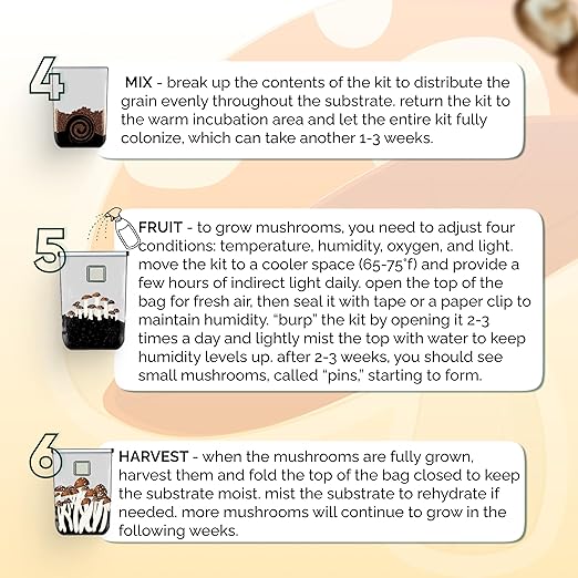 MycoHaus Mushroom All in One Growing Kit with Injection Ports | Indoor Grow Bags for Mushrooms | Home Cultivation Supplies | Without Spores | 8 Pack