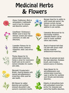 Medicinal Herb and Flower Set - 12 Varieties of Non-GMO & Heirloom Flowers and Herbs - Basil, Cilantro, Calendula, Lavender, Sage, & More!