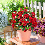 8 Bundles Artificial Geranium Flowers for Outdoors, Realistic Silk Geraniums Fake Flowers UV Resistant Faux Plants for Porch Front Door Planter Patio Balcony Outside Decor (Mixcolor)