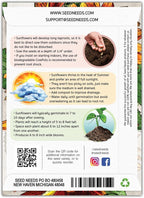 Seed Needs Velvet Queen Sunflower Seeds for Planting Red-Orange Flowers - Heirloom & Open Pollinated Flower Seed to Plant an Outdoor Butterfly Garden (1 Pack)