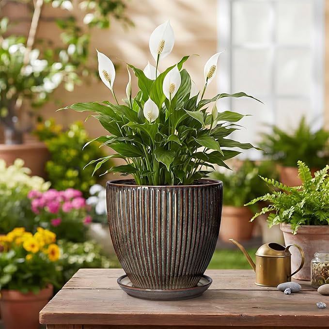 6 Inch Plant Pot, Ceramic Pots for Plants with Drainage Hole and Saucer, Decorative Planters for Indoor Plants, Small Flower Pots, Home Office Room Decor, Gifts for Plant Lovers, Retro Brown