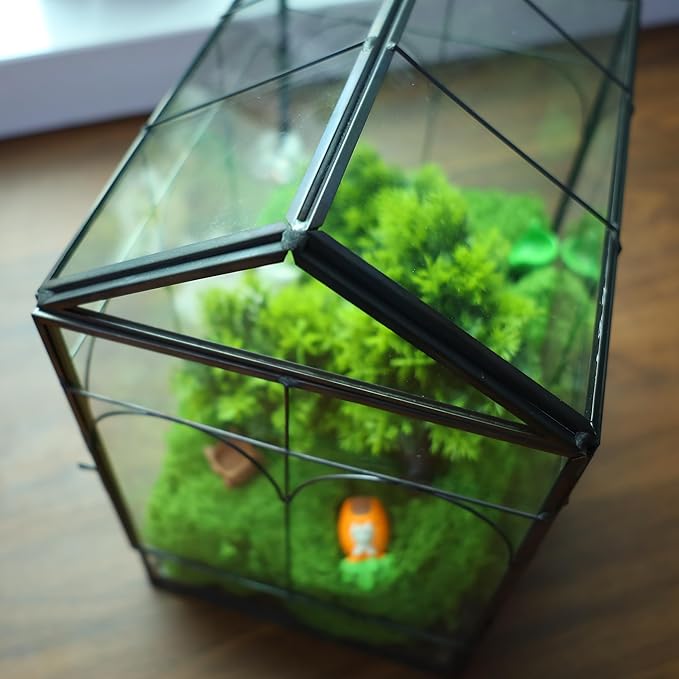 HighFree Geometric Plant Terrarium with Lid, House Succulent Terrarium Kit for Succulents Cacti Snail, Home Tabletop Miniature Terrarium (Black with Side Door)