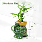 Lucky Bamboo 3-Stalk Set with Pebbles in Elephant Gold Ingot Pot – 6'' 6'' 8'' Live Plant for Wealth and Prosperity