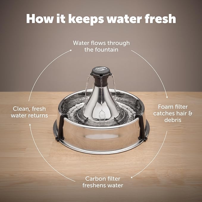PetSafe Stainless Multi-Pet Fountain with Extra Filters Great for Multiple Pet Households Customizable Stream Options Scratch and Rust Resistant 128 Oz Water Capacity Fresh, Filtered Water