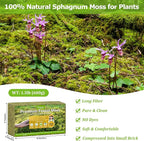 Legigo 1.3LBS Sphagnum Moss for Plants, 25QT Natural Orchid Moss Potting Mix Dired, Green Forest Plant Moss for Orchid Repotting Carnivorous Succulents Indoor Potted Plants Gardening and Reptiles