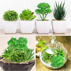 QUOZUO Green Succulent Plants, 6pcs Mini Fake Succulents Plants for DIY Crafting Home Floral Wall Office Decoration (excluding pots)