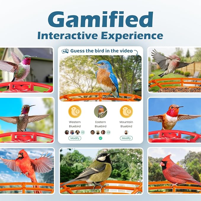 Smart Bird Feeder with Camera, 2K HD Birdwatching Camera with AI Identify Bird Species & Solar Panel, Auto Video Capture & Instant Notifications, for Dad Granpa Birdlovers