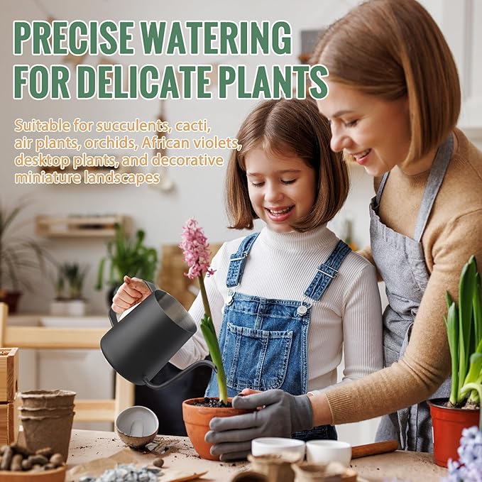 Small Watering Can Indoor Plants - 20 oz Mini Stainless Steel Watering Can with Long Spout Rust-Proof Tiny Metal Watering Can for Small House Plants Flowers Home & Office Black