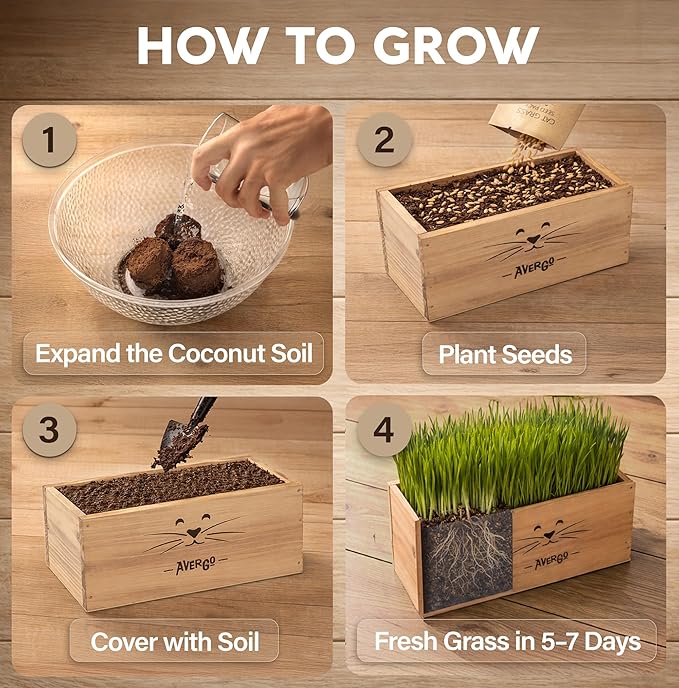Cat Grass Kit for Indoor Cats – x4 Seed Packets | Cat Grass Seeds with Wooden Planter, Soil & Mini Gardening Tools for Nipping & Nibbling – Pet Wheatgrass Grass