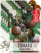 Seed Needs Tomato Seeds for Planting Black Cherry Tomatoes - Non-GMO Heirloom & Untreated Indeterminate Variety to Plant a Home Grown Outdoor Vegetable Garden (5 Packs)