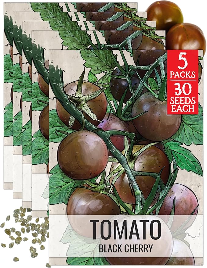 Seed Needs Tomato Seeds for Planting Black Cherry Tomatoes - Non-GMO Heirloom & Untreated Indeterminate Variety to Plant a Home Grown Outdoor Vegetable Garden (5 Packs)