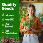 HOME GROWN Catnip Seeds (2 Pack) Heirloom Herb 4232 Seeds - Indoor or Outdoor Seed - High-Germination Cat Nip - Cat Safe Plants (Nepeta cataria)