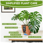Self Watering Pots for Indoor Plants (5/5.5/6/6.5/8 Inch), Terra Cotta Planters with Water Level Indicator & Drainage,Wicking Pots for Monstera, Herbs & Snake Plant (Terra Cotta, 5/5.5/6/6.5/8 Inch)