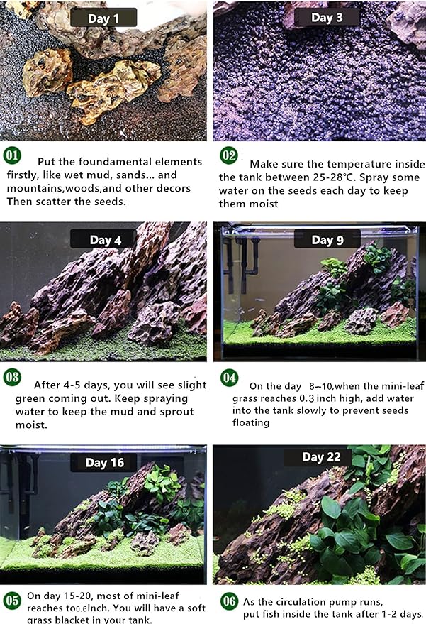 3 Bags Aquarium Plant S.e.e.ds, not Artificial Plastic Plant, Fish Tank Live Grass for All Substrate yljl4222ds