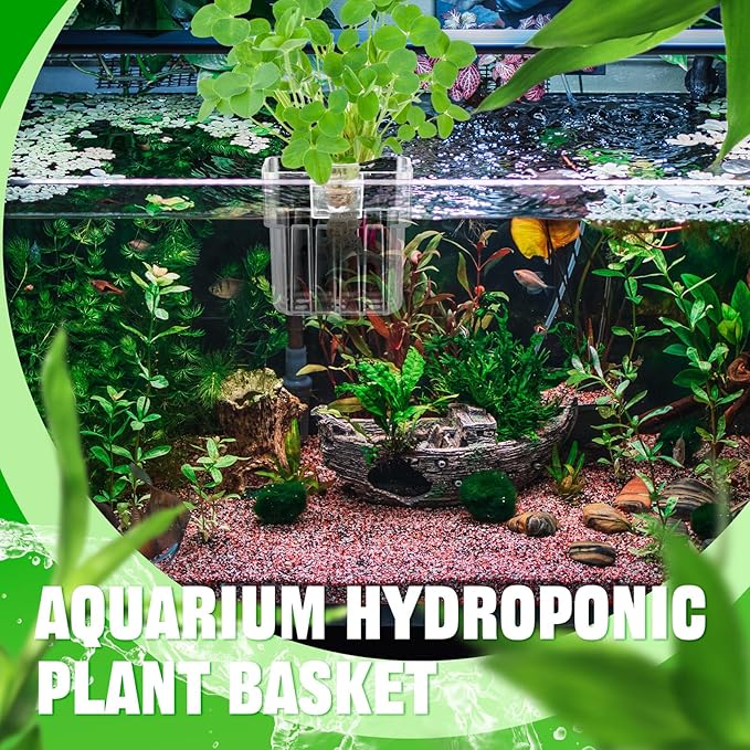 Dandat 8 Pcs Clear Acrylic Aquarium Plant Holder with Hooks Top Aquarium Plant Hanging Fish Tank Cup Pots Aquascape Decoration for Aquaponic Cultivation Water Feature Decoration