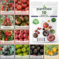 10 Heirloom Tomato Seed Varieties Packet - Non-GMO, Open Pollinated Seeds for Planting Home Garden - Beefsteak, Roma, San Marzano, Cherokee Purple, Cherry Tomato & More