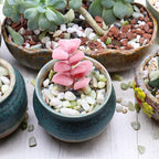 Rocks for Plants. Green Jade Decorative Polished Pebbles. 1/5 Inch – 2 lbs for Garden, Vase fillers, Crafting, Succulents, pots, Plants (Mini (0.2 Inch), Green Jade - Polished, 2)
