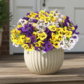 CEWOR 12 Bundles Artificial Flowers for Outdoor Indoor, Fake Silk Pansy with Eucalyptus Leaves, Faux Flower for Garden Front Door Porch Planter Patio Home Decor (Yellow White Purple)