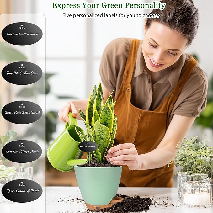 6 Inch Self Watering Pots for Indoor Plants(5-Pack) – Small Plastic Planters with Water Level Window, Drainage Holes & Detachable Trays, Indoor Outdoor Flower Pots for Herbs, Snake,Pothos (Green)