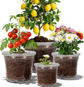 12 Pack 4/6/8/10 Inch Clear Nursery Pots for Plants, Large Size Clear Plant Pots with Drainage Holes, Plastic Nursery Pots for Indoor and Outdoor Planting Vegetables, Orchids, Aloe
