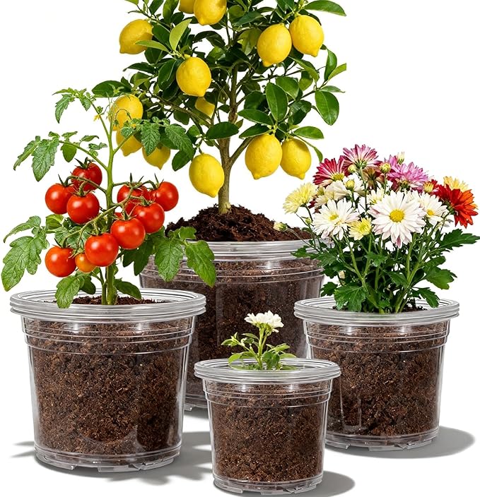 12 Pack 4/6/8/10 Inch Clear Nursery Pots for Plants, Large Size Clear Plant Pots with Drainage Holes, Plastic Nursery Pots for Indoor and Outdoor Planting Vegetables, Orchids, Aloe