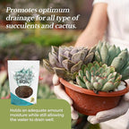 Professional Succulent Soil Mix Ready to Use Extra Large 8.2 Quarts, Premium Potting Soil for Succulents and Cactus, Fast Draining Blend Canadian Peat Coarse Sand Pinebark Indoor Made in USA