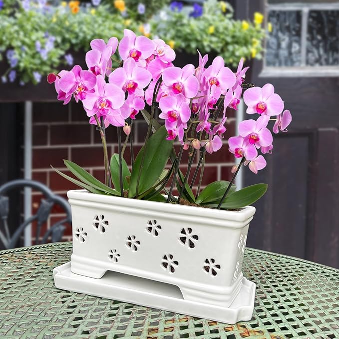 Rectangle Ceramic Orchid Pot with Holes and Saucer 12Inch Ceramic Large Pot Basin for Refilling Indoor and Outdoor Use Air Circulation Orchid Planter for Repotting Planter White
