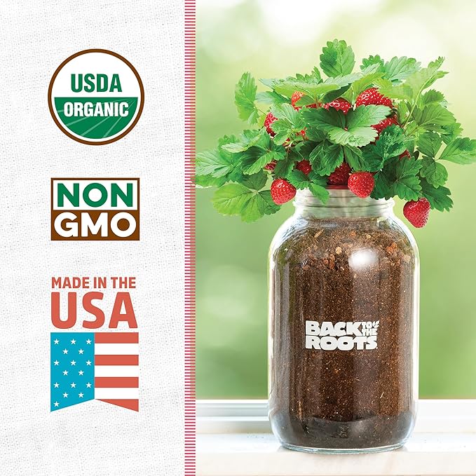 Back to The Roots Organic Strawberry Grow Kit — Grows Year Round, Includes Everything Needed for Planting
