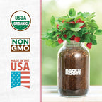 Back to The Roots Organic Strawberry Grow Kit — Grows Year Round, Includes Everything Needed for Planting