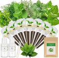 Gourmet Herb Seed Pod Kit for AeroGarden, idoo, Ahopegarden, MUFGA Hydroponics Garden with Basil, Parsley, Thyme, Mint, Cilantro, Dill, Oregano - Compatible with All Hydroponics (7-Pod)