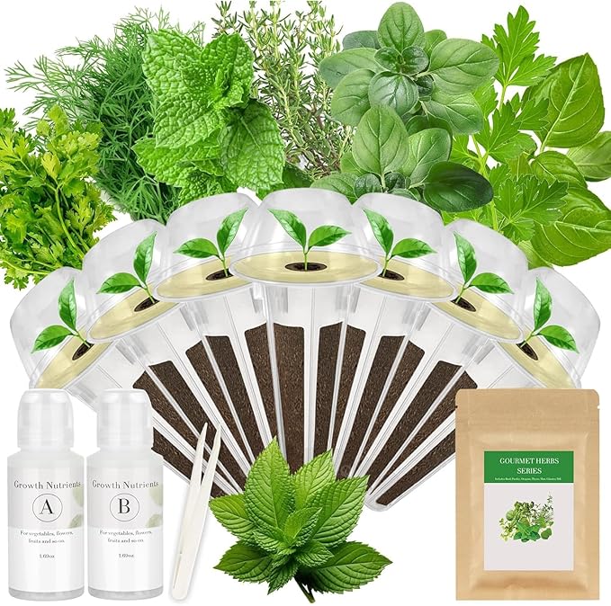 Gourmet Herb Seed Pod Kit for AeroGarden, idoo, Ahopegarden, MUFGA Hydroponics Garden with Basil, Parsley, Thyme, Mint, Cilantro, Dill, Oregano - Compatible with All Hydroponics (7-Pod)