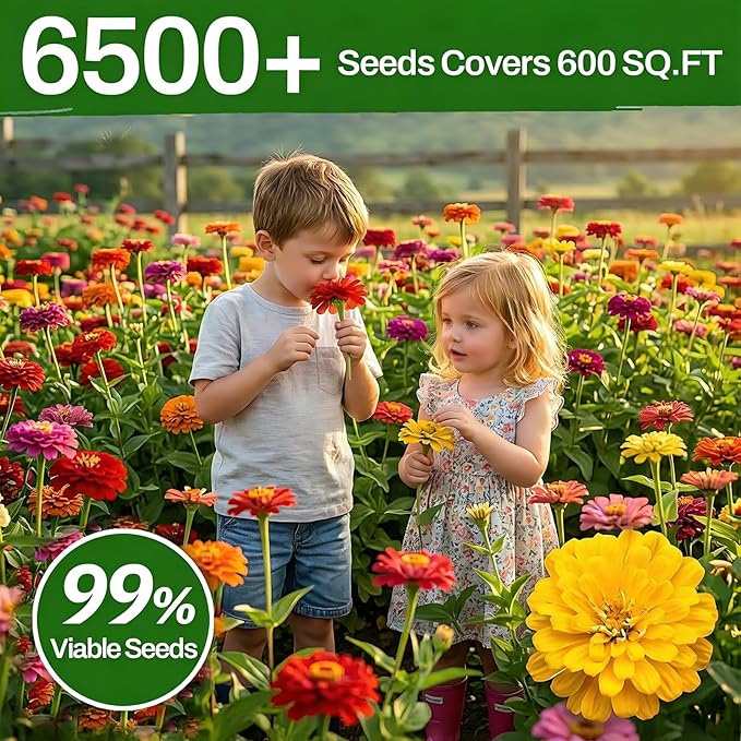 LUOJIBIE Zinnia Seeds, 6500+ Bulk Pack Mixed Colors Large Blooms Seeds, California Giant Zinnia Seeds for 2026, High Germination Non-GMO, Wildflower Seeds for Planting Indoor Outdoor, Open Pollinated