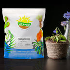 Soil Sunrise Carnivorous Plant Potting Soil Mix (8 Quarts) Ideal Additive for Venus Fly Traps, Sundews, and Pitcher Plants