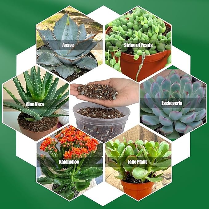 Succulent & Cactus Soil Potting Mix 1qt, Natural Organic Potting Mix for Cactus, Succulent, Palm, and Citrus Grown in Containers Indoors and Outdoors