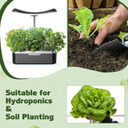 Lettuce Seed Pods for All Hydroponics Growing System, 8 Pods with 600+ Seeds of Romaine/Butter Head/Red&Green Leaf/Black Seeded Simpson/Red Sail and Marvel of 4 Seasons