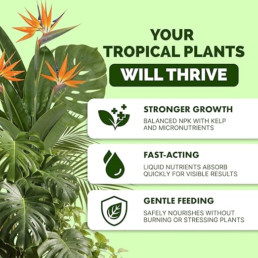 Tropical Plant Fertilizer – Liquid Plant Food for Bigger Leaves, Lush Growth & Stronger Roots, 8 oz