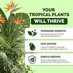 Tropical Plant Fertilizer – Liquid Plant Food for Bigger Leaves, Lush Growth & Stronger Roots, 8 oz