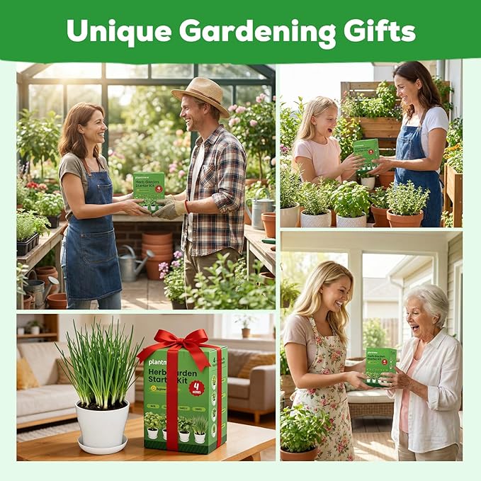 Indoor Herb Garden Starter Kit - Mothers Day Gifts - 4 Non GMO, Heirloom Culinary Herb Seeds, Unique Gardening Gift for Women, Mom, Her, Birthday, Housewarming, Plant Lovers